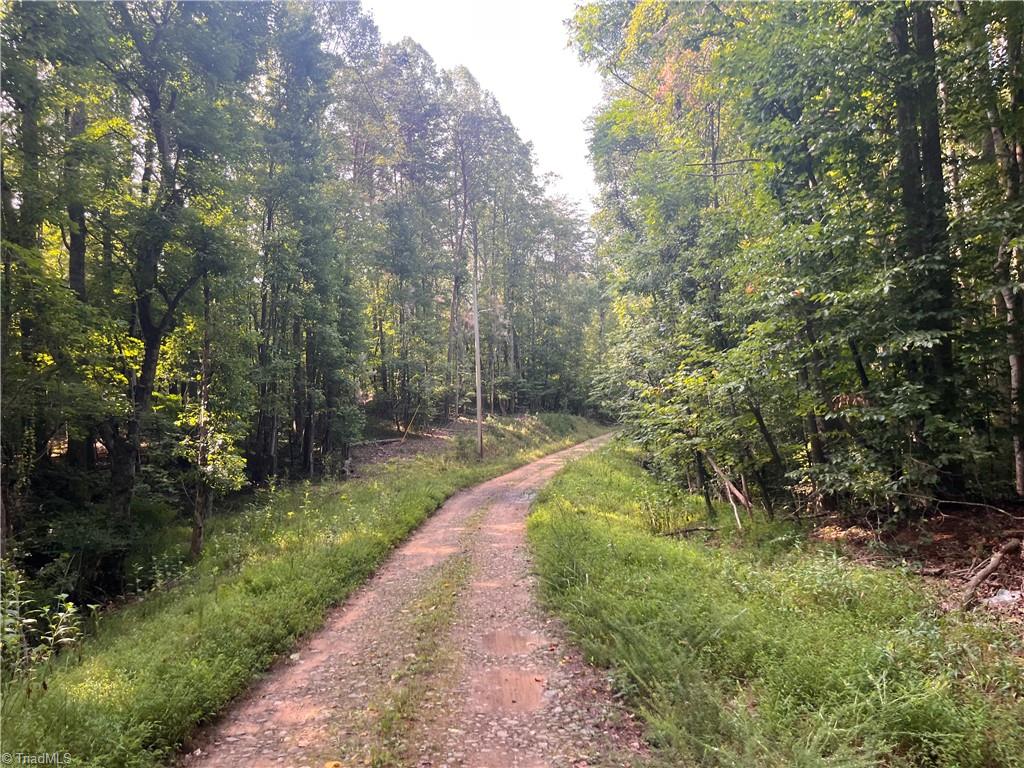 1170 Timber Ridge Road Westfield, NC 27053 - Photo 1 of 20 Gallery Image 1