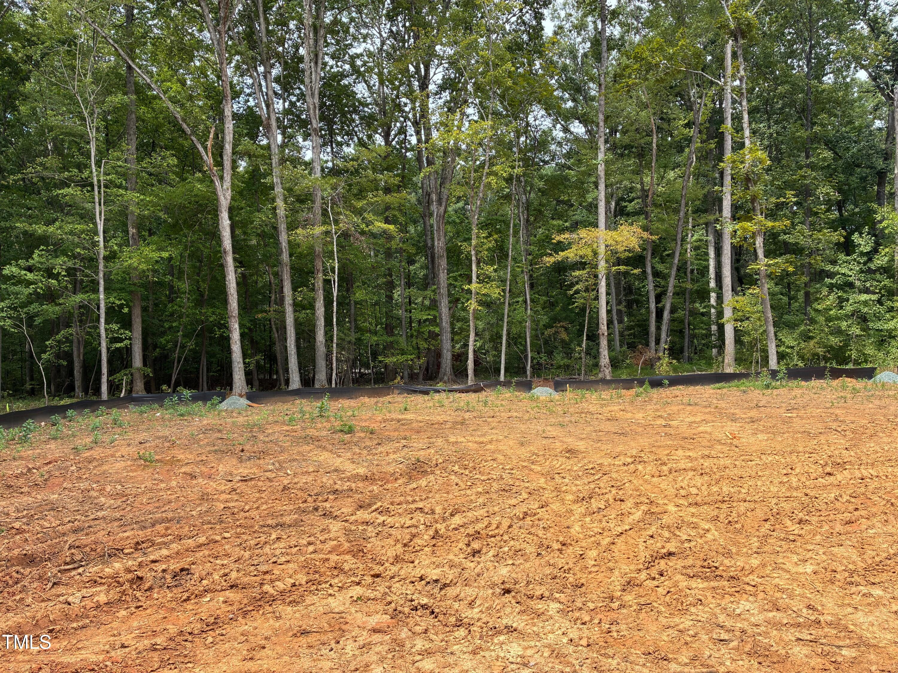 126 Roberson Creek Road Pittsboro, NC 27312 - Photo 10 of 14
