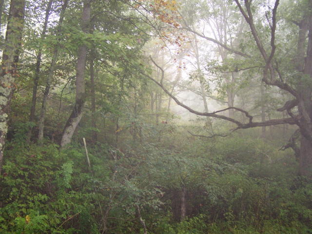 Lot # Mt View Estates Cool Ridge, WV 25825 - Photo 2 of 2 Gallery Image 2