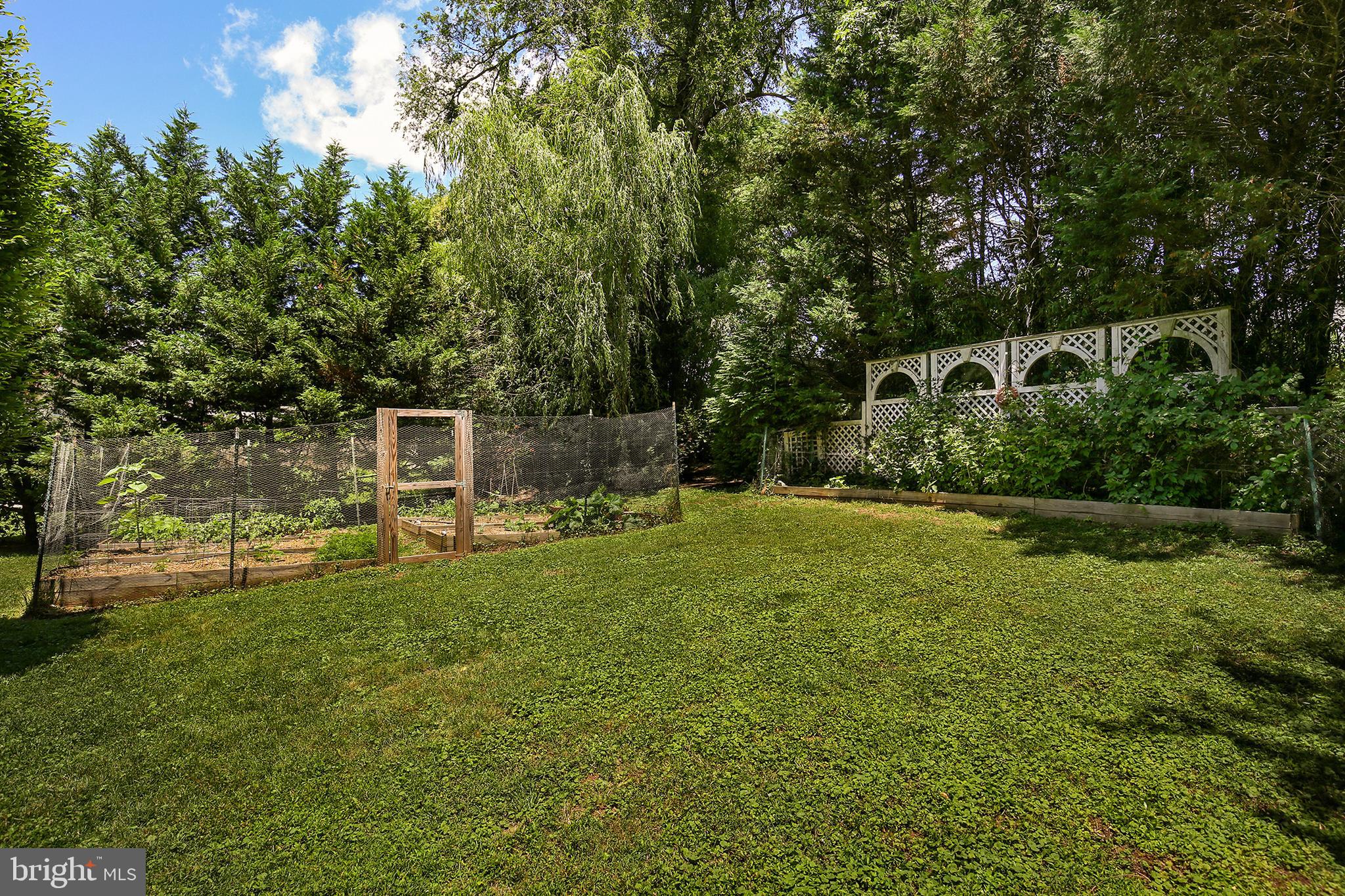 11801 Pittson Road Silver Spring, MD 20906 - Photo 31 of 35