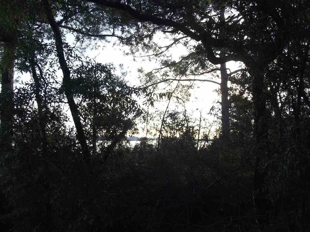 Old Bay Pointe Road Milton, FL 32583 - Photo 4 of 16 View through the oaks