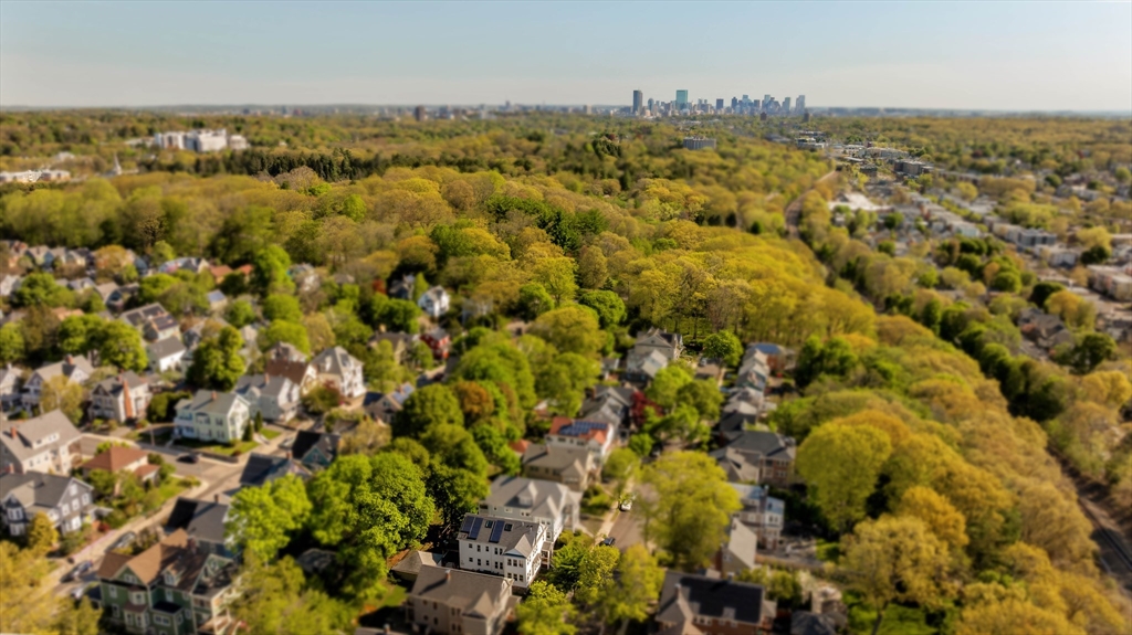 16 Arborough Road, Unit 1 Boston, MA 02131 - Photo 3 of 42 Gallery Image 3