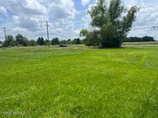 1153 Tolson Road Lafayette, LA 70508 - Photo 13 of 16 IMG_8225