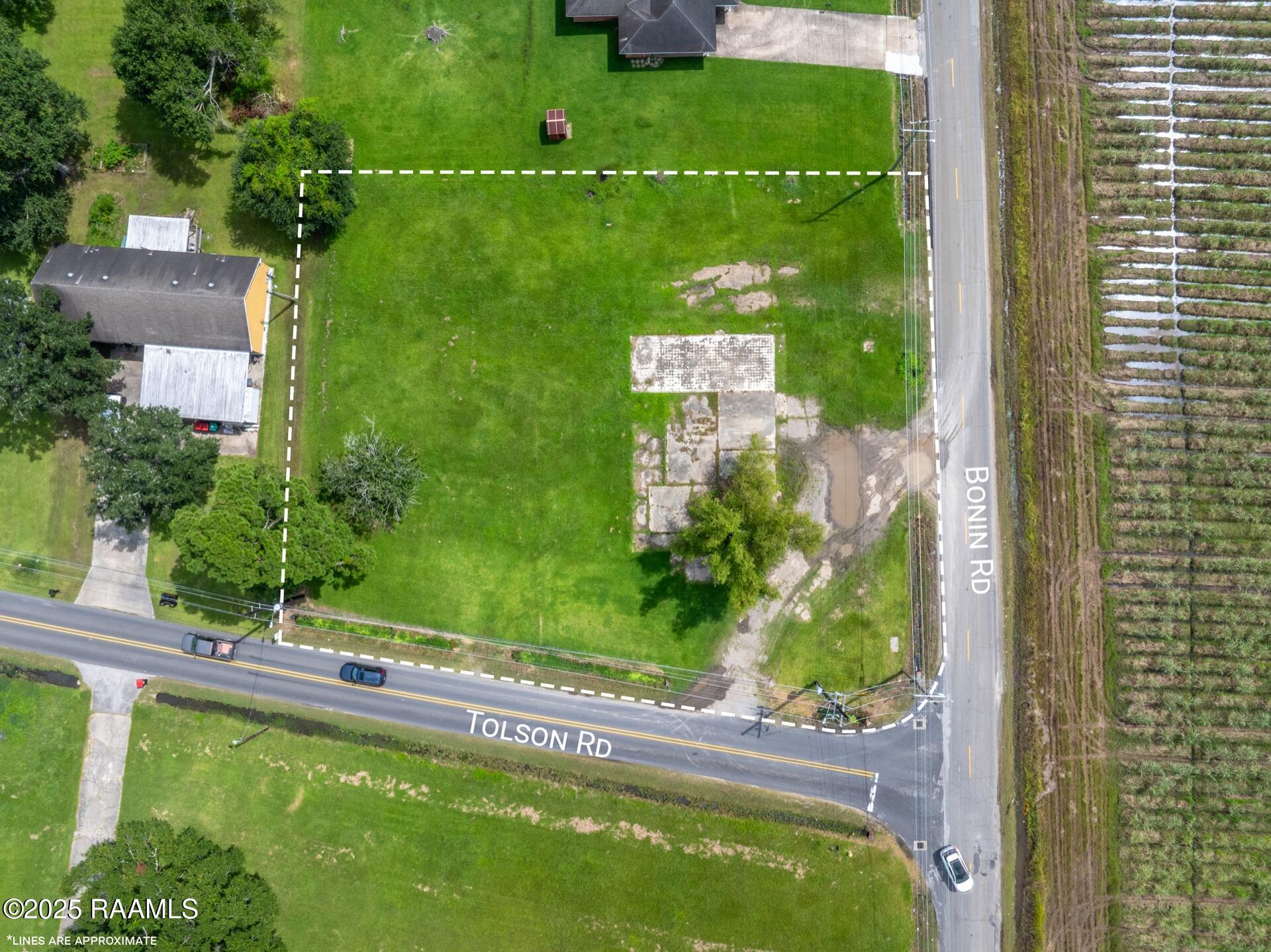 1153 Tolson Road Lafayette, LA 70508 - Photo 5 of 16 1153Tolson-4a