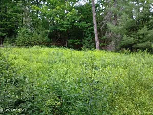 $35,000 | L30 Lane Road, North Creek, NY 12853