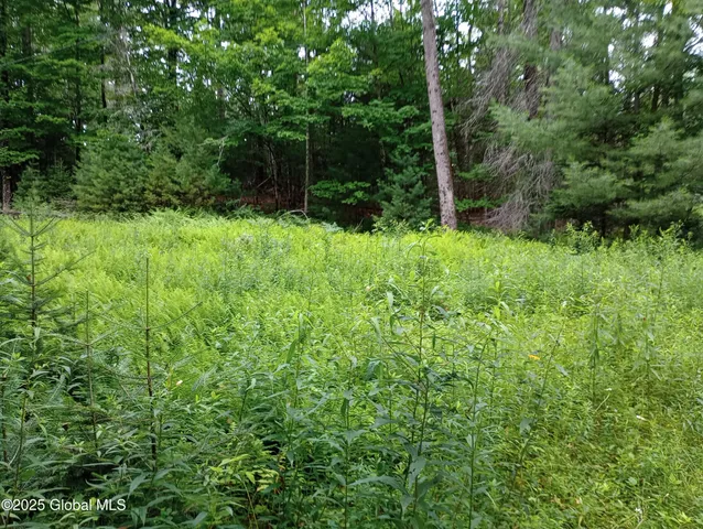 $35,000 | L30 Lane Road, North Creek, NY 12853