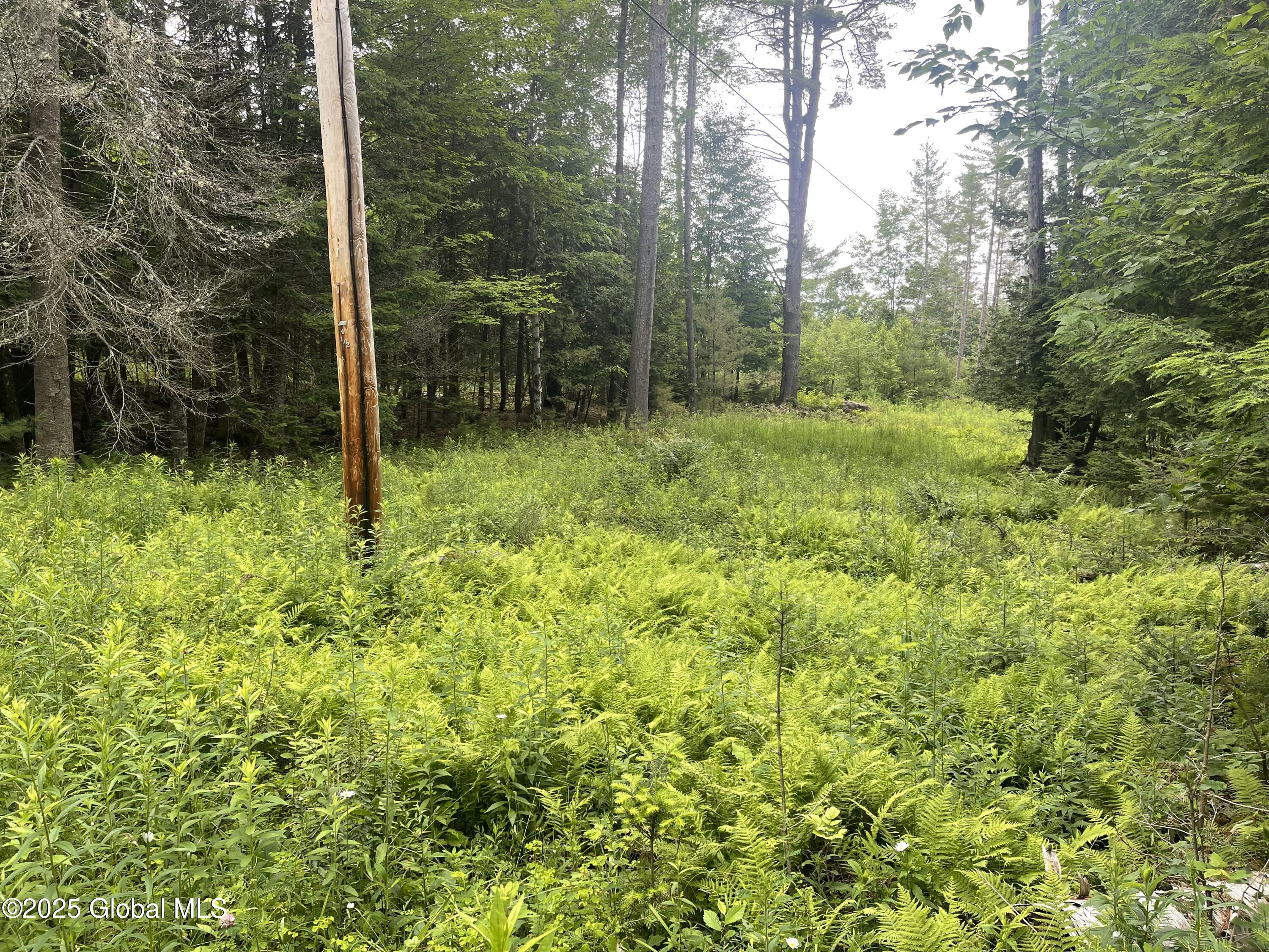 L30 Lane Road North Creek, NY 12853 - Photo 2 of 5 IMG_6519