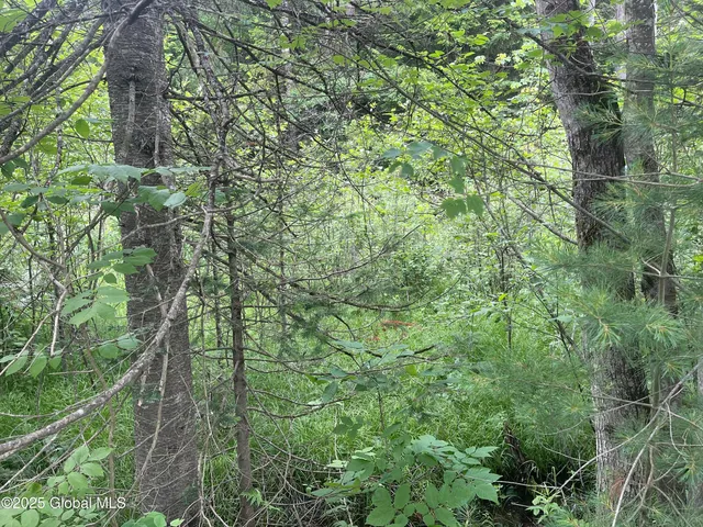 $35,000 | L30 Lane Road, North Creek, NY 12853