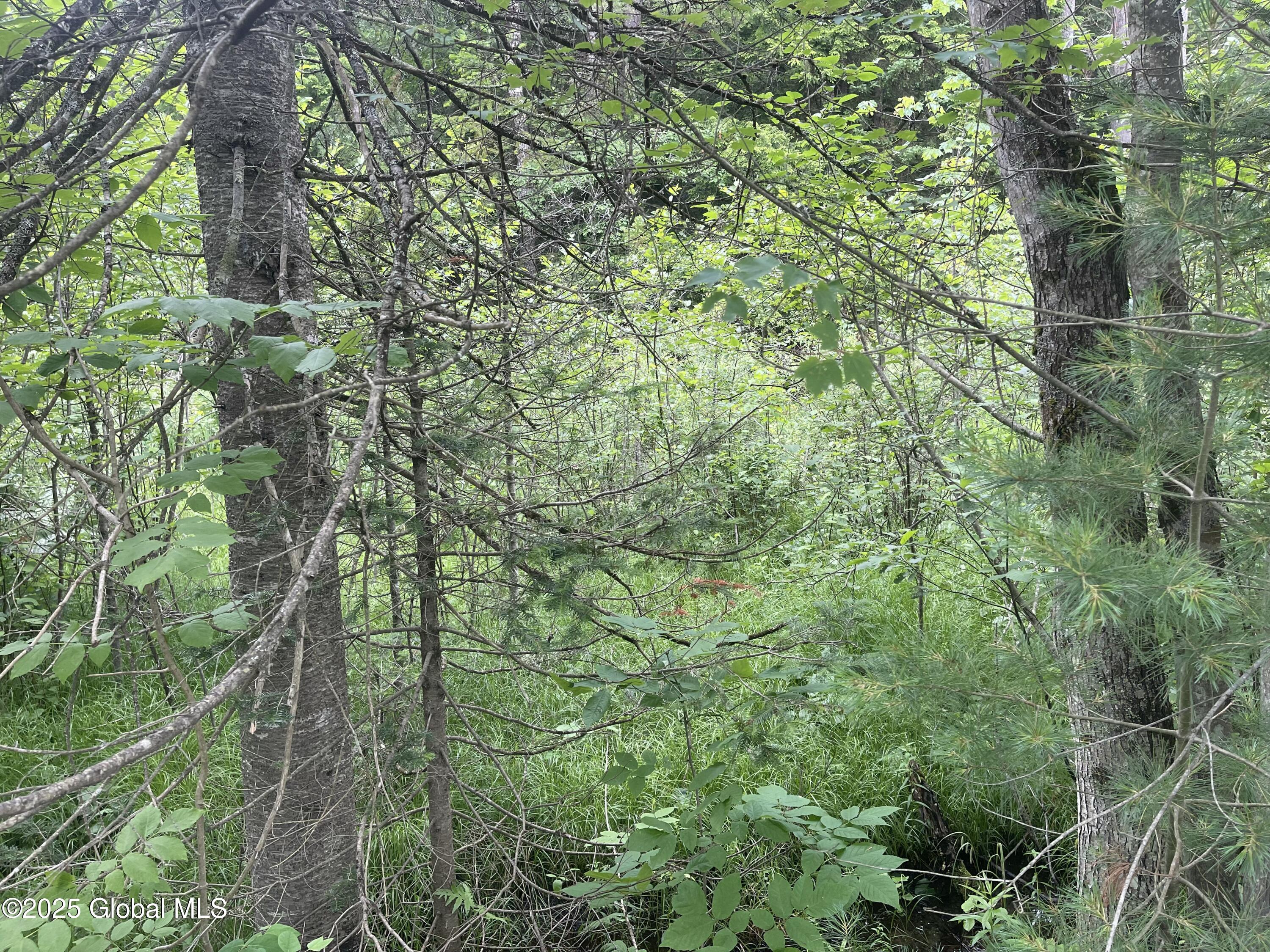 L30 Lane Road North Creek, NY 12853 - Photo 3 of 5 IMG_6525