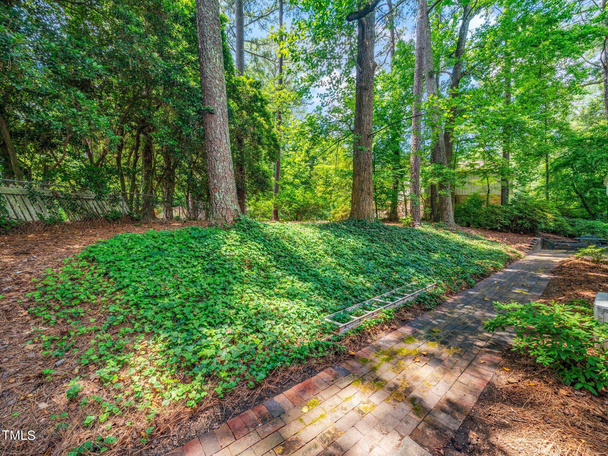 4205 Weaver Drive Raleigh, NC 27612 - Photo 38 of 48 a view of a yard with large trees