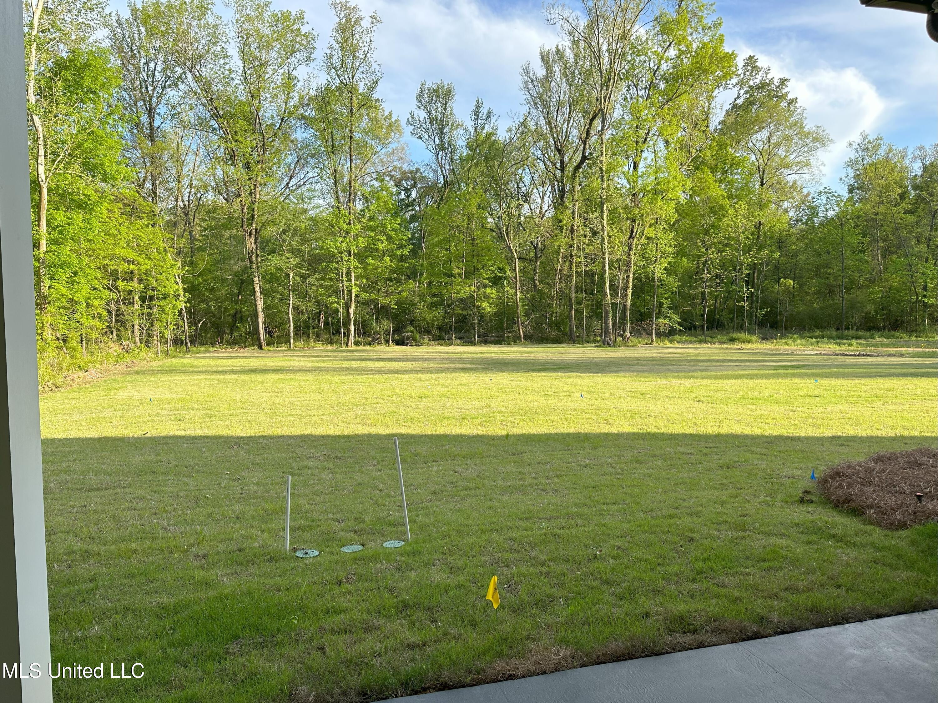 103 Bridgewater Bend Ridgeland, MS 39157 - Photo 8 of 14 Back Yard