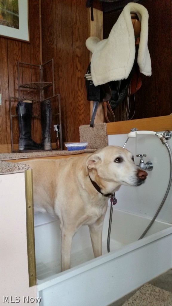 15195 Georgia Road Middlefield, OH 44062 - Photo 22 of 25 Doggy bath! Sorry - Dog not included. ..