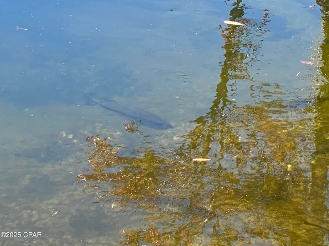 $550,000 | 15711 Owls Roost Trail, Youngstown, FL 32466