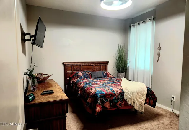 a view of a back yard