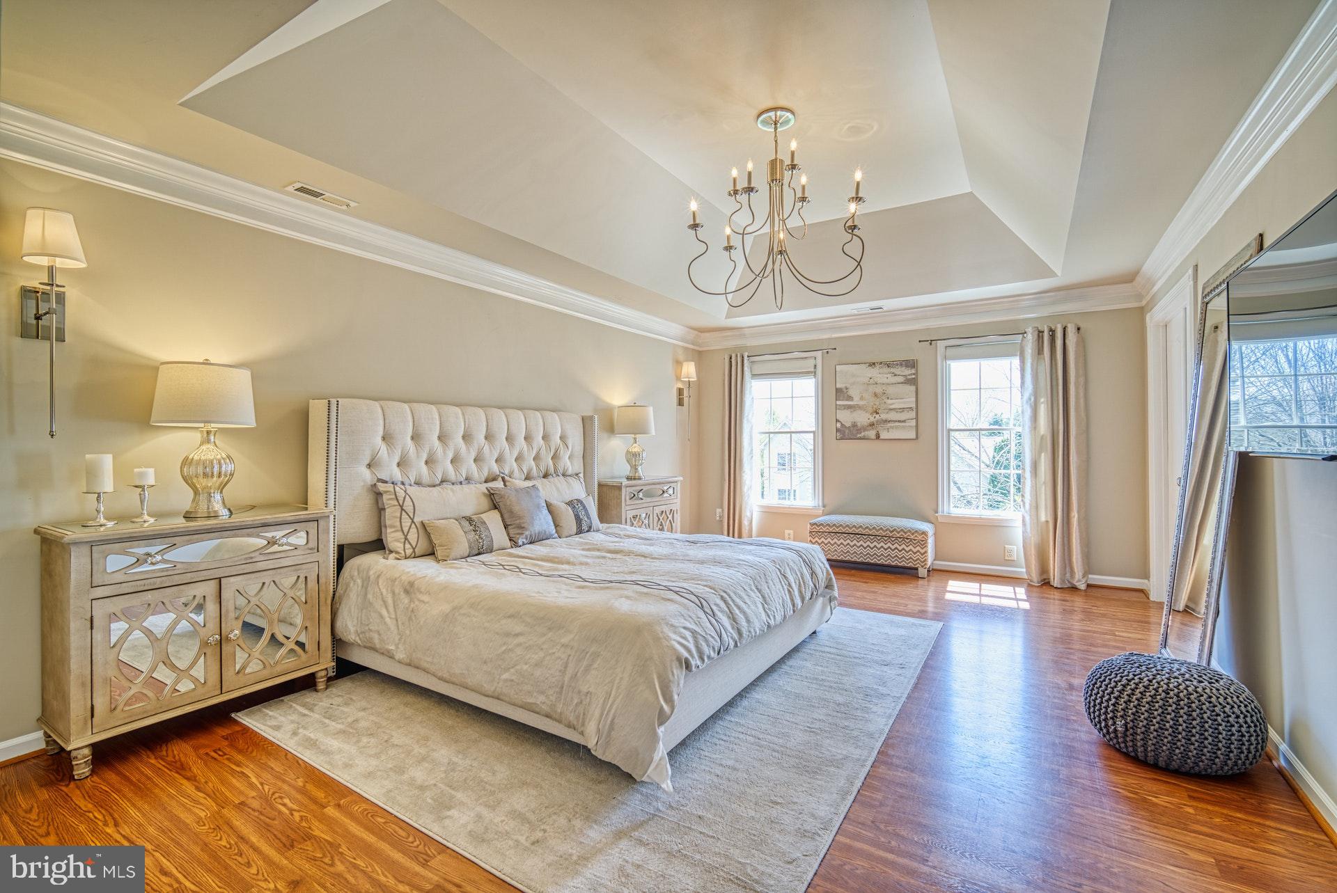 10896 Hunter Gate Way Reston, VA 20194 - Photo 23 of 70 MASTER SUITE WITH TRAY CEILING