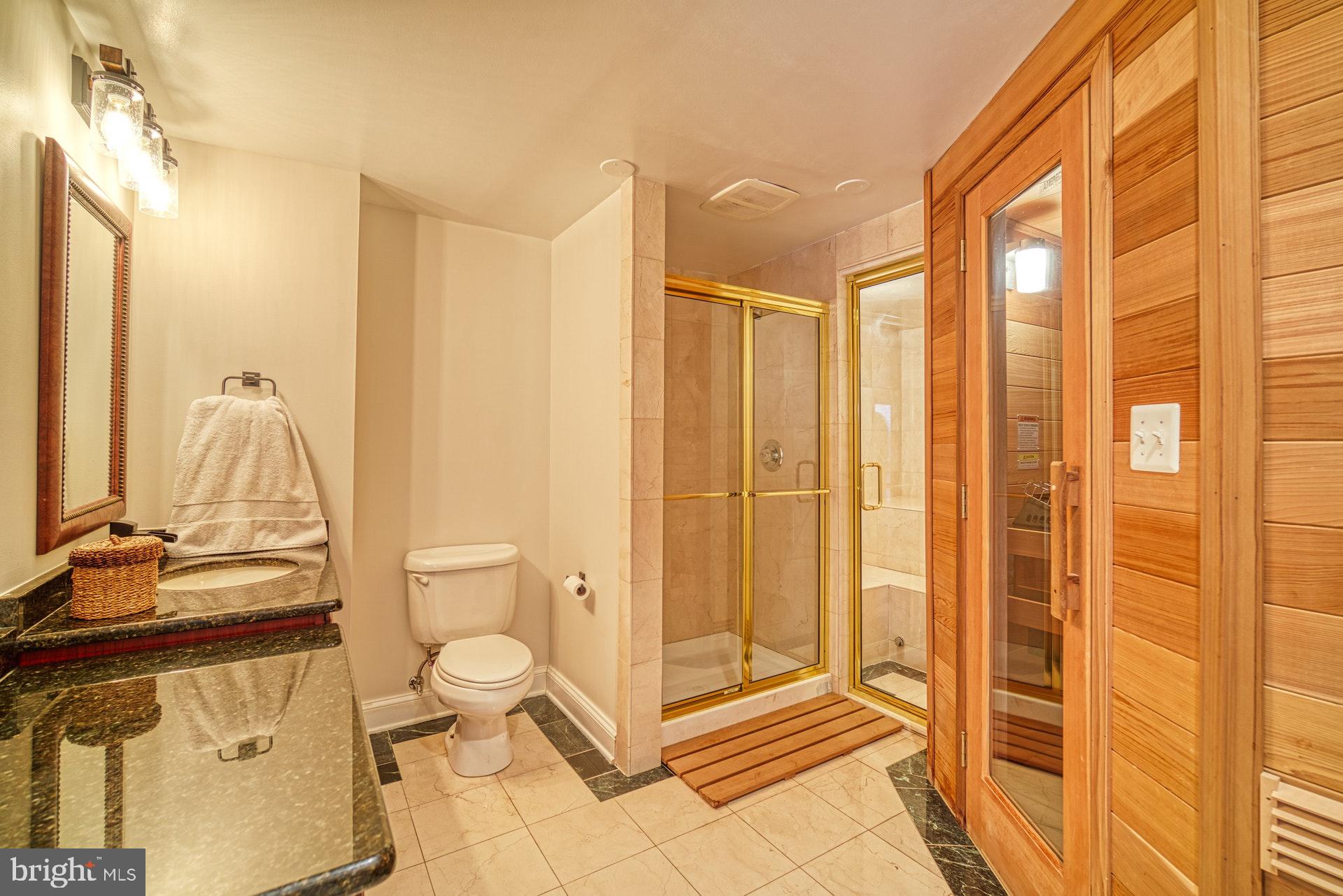 10896 Hunter Gate Way Reston, VA 20194 - Photo 45 of 70 LOWER LEVEL FULL BATH W/ STEAM ROOM AND SAUNA