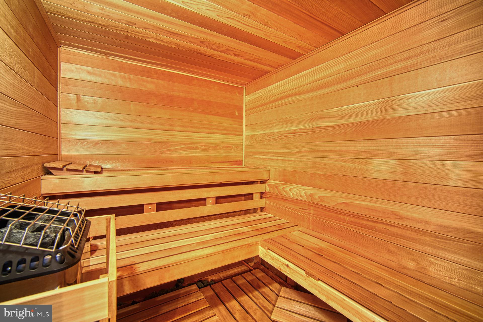 10896 Hunter Gate Way Reston, VA 20194 - Photo 46 of 70 LOWER LEVEL SAUNA