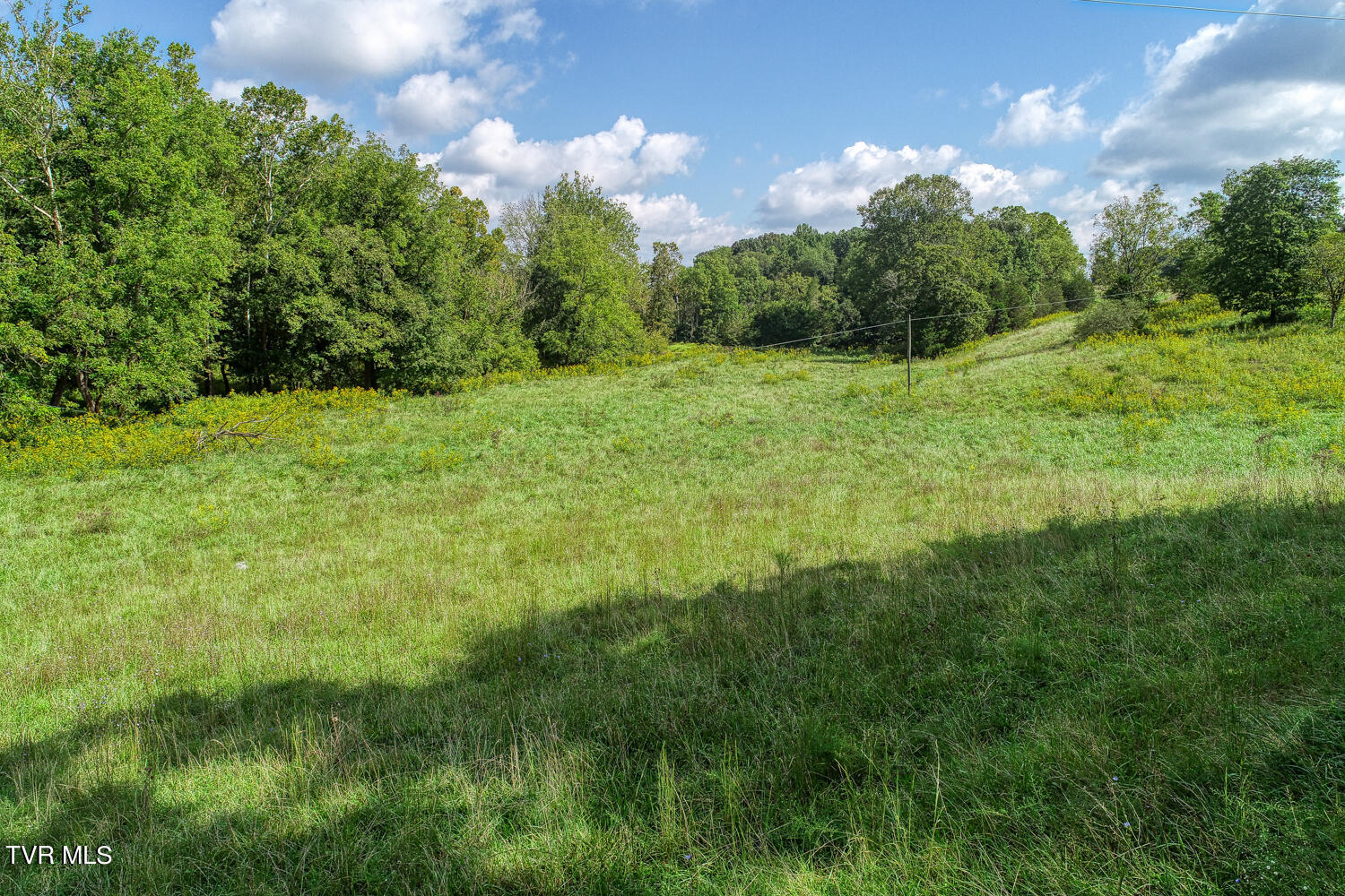 Tbd Double Springs Road Jonesborough, TN 37659 - Photo 20 of 40 BG. Double Springs. Jonesb MLSa (17 of