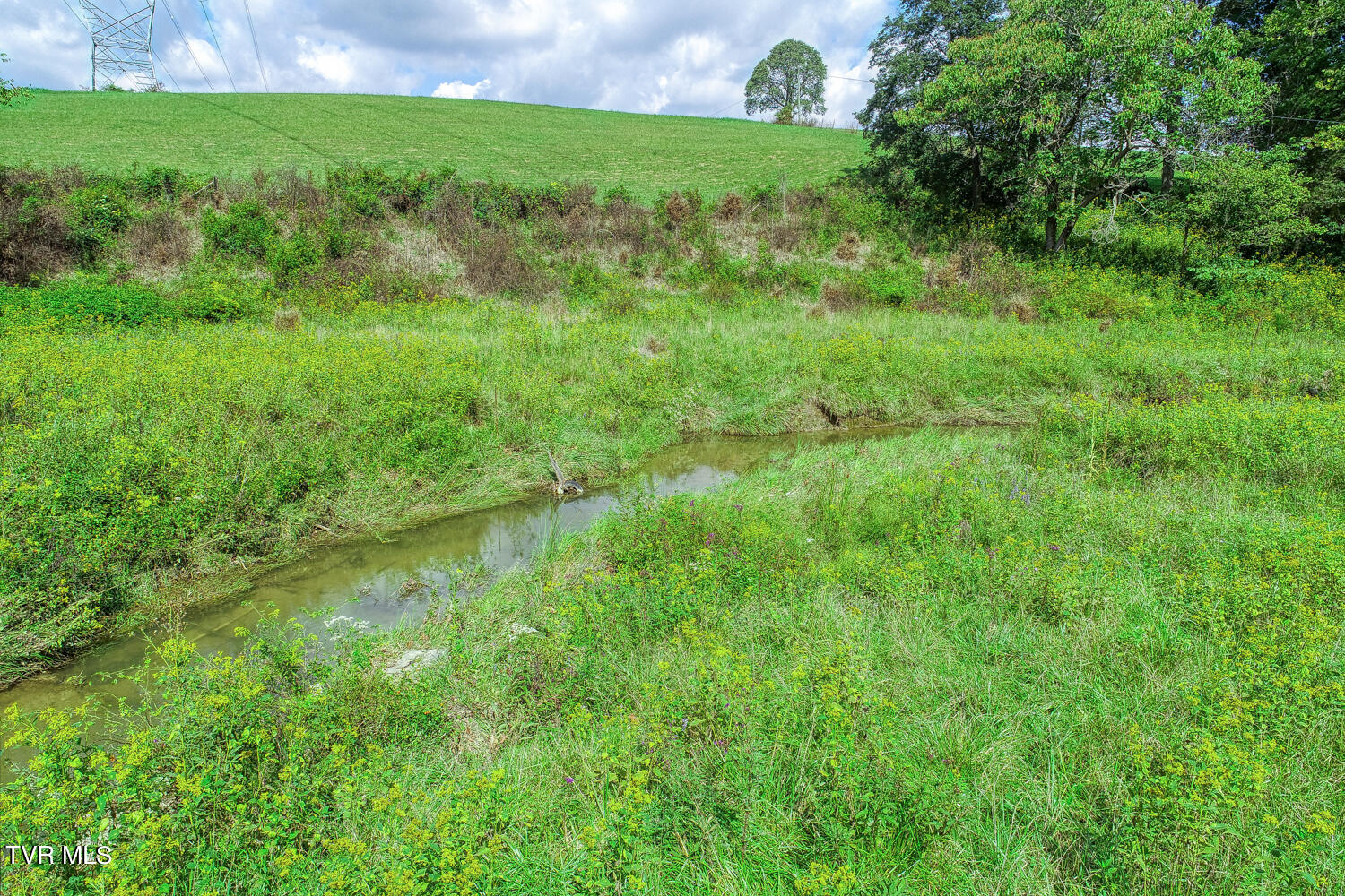 Tbd Double Springs Road Jonesborough, TN 37659 - Photo 22 of 40 BG. Double Springs. Jonesb MLSa (19 of