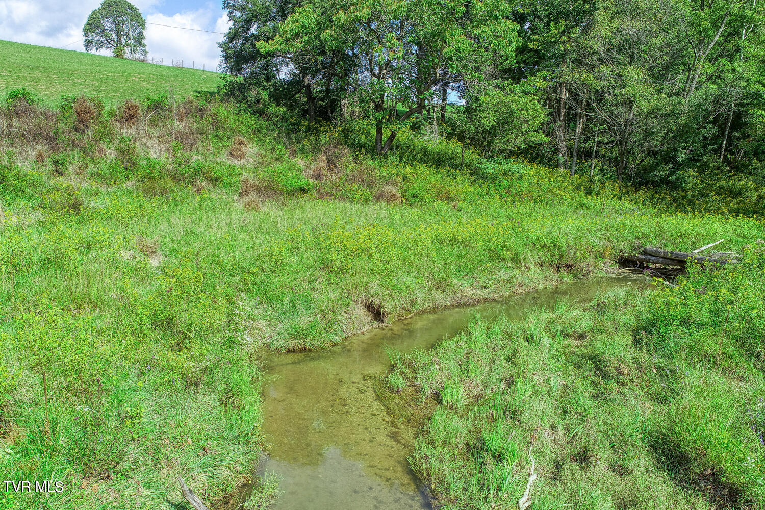 Tbd Double Springs Road Jonesborough, TN 37659 - Photo 23 of 40 BG. Double Springs. Jonesb MLSa (20 of