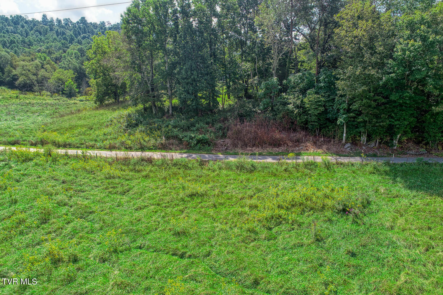 Tbd Double Springs Road Jonesborough, TN 37659 - Photo 35 of 40 BG. Double Springs. Jonesb MLSa (42 of