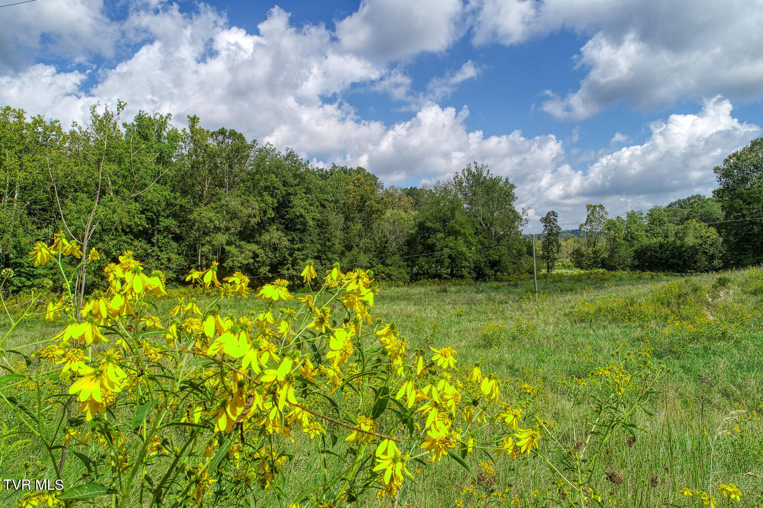 Tbd Double Springs Road Jonesborough, TN 37659 - Photo 40 of 40 BG. Double Springs. Jonesb MLSa (50 of