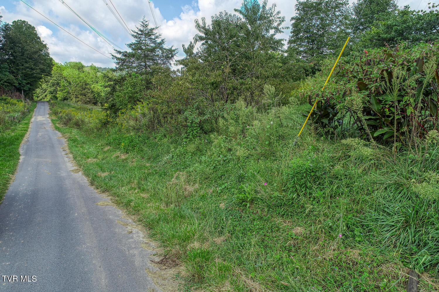 Tbd Double Springs Road Jonesborough, TN 37659 - Photo 6 of 40 BG. Double Springs. Jonesb MLSa (3 of 5