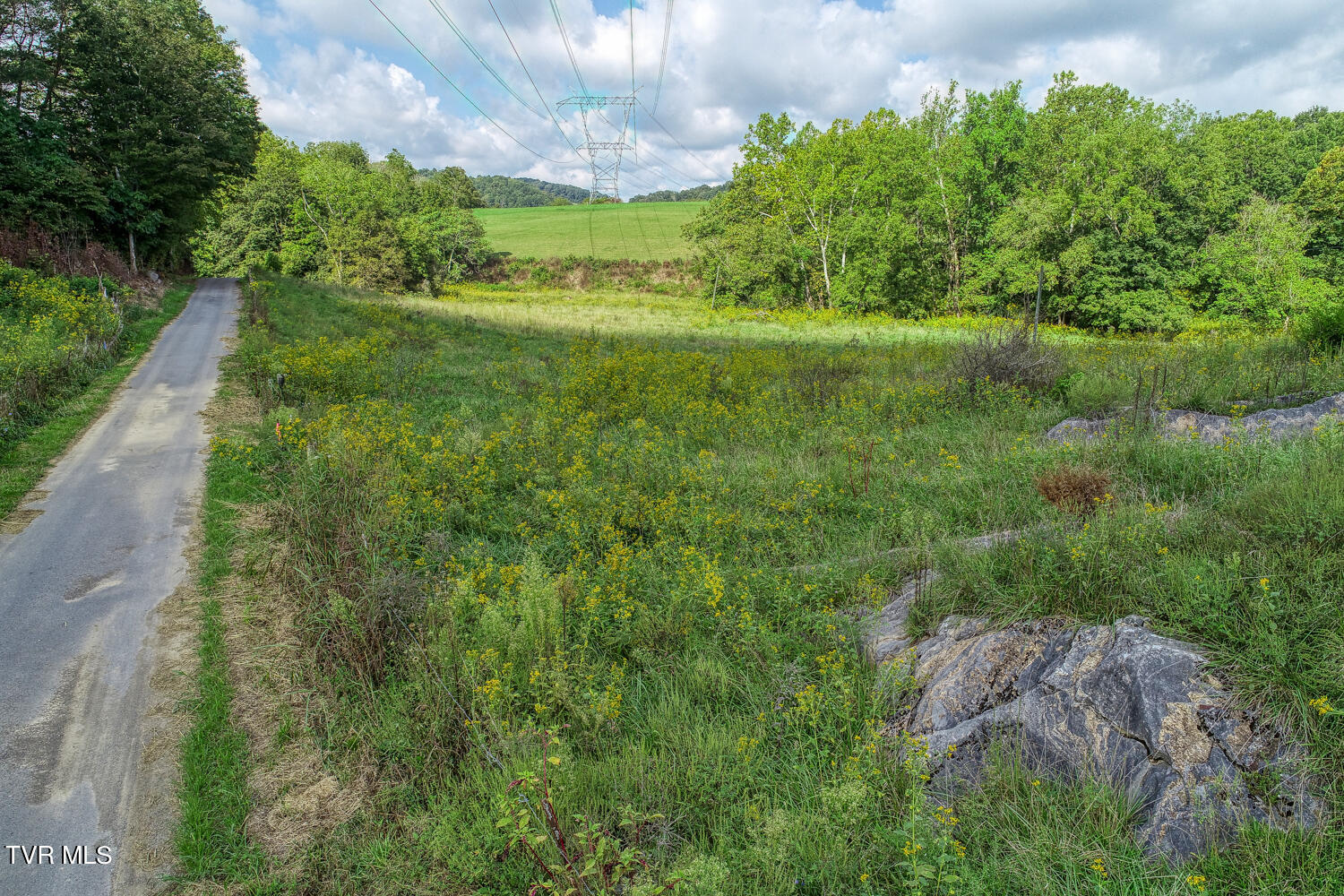 Tbd Double Springs Road Jonesborough, TN 37659 - Photo 8 of 40 BG. Double Springs. Jonesb MLSa (5 of 5