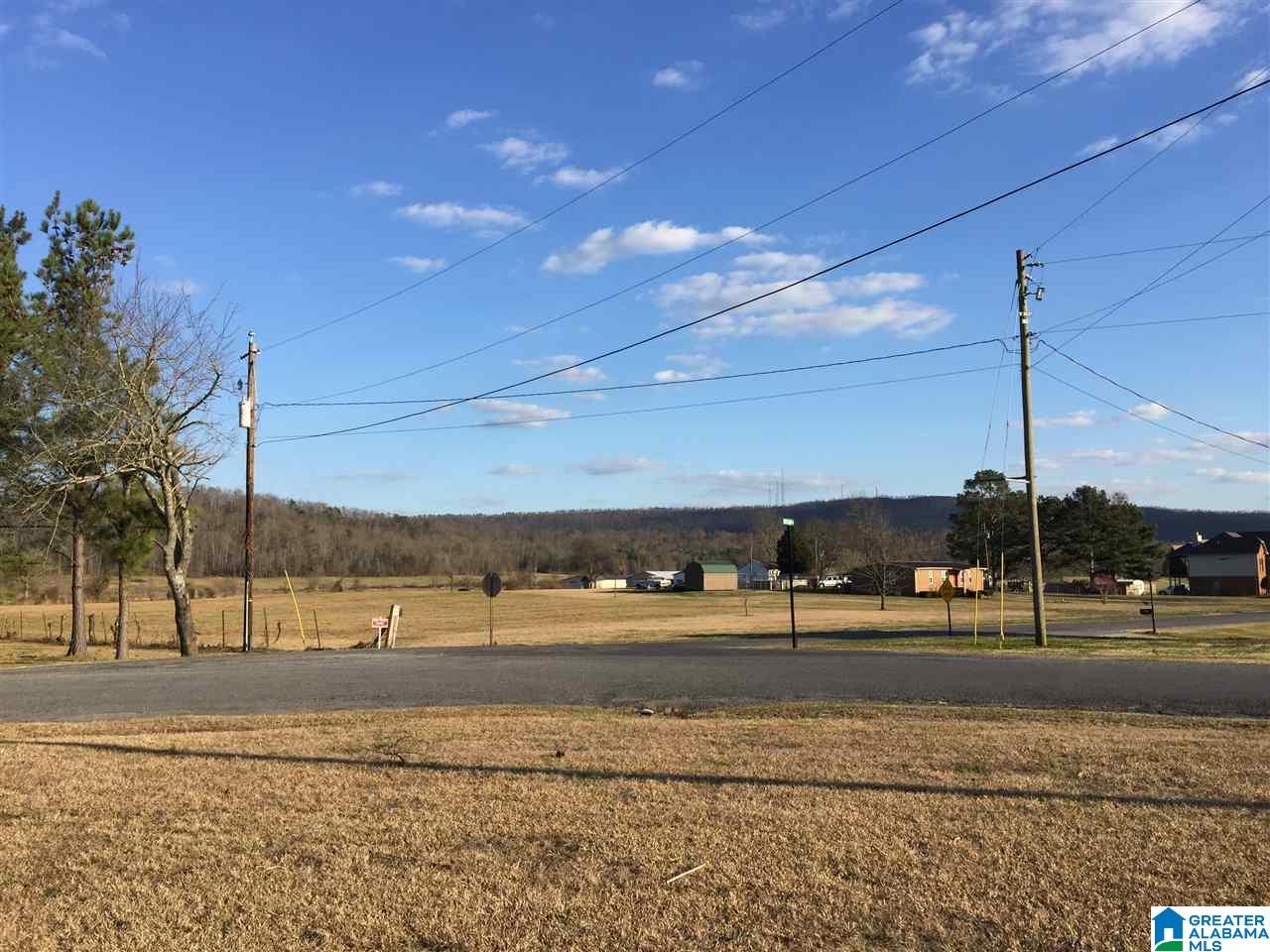 445 Coupland Road Odenville, AL 35120 - Photo 50 of 50