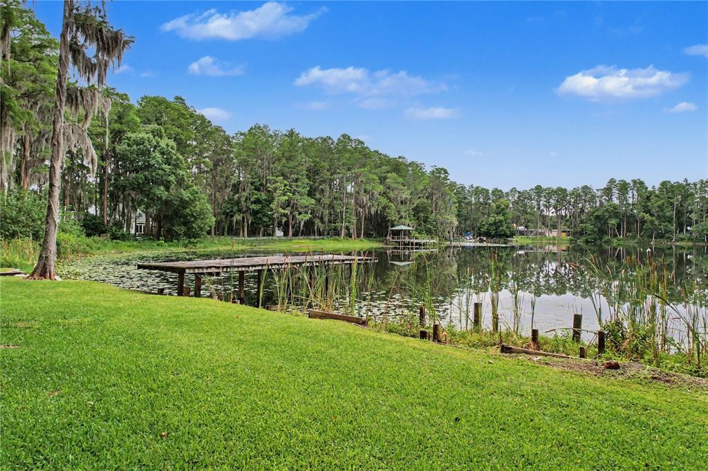 17305 Sherman Road Lutz, FL 33558 - Photo 76 of 89