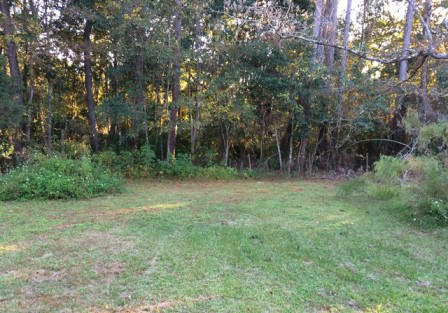 21 West Shell Cracker Road Freeport, FL 32439 - Photo 7 of 9 Gallery Image 7