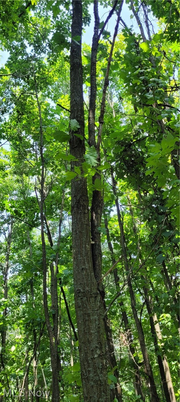 Southeast Edwards Ridge Road Southeast Uhrichsville, OH 44683 - Photo 23 of 34 Gallery Image 23