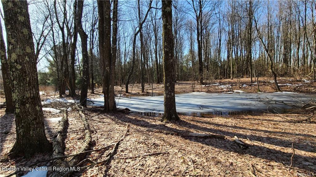 0 Kaufman Road Monticello, NY 12701 - Photo 29 of 49 GetMedia (15)
