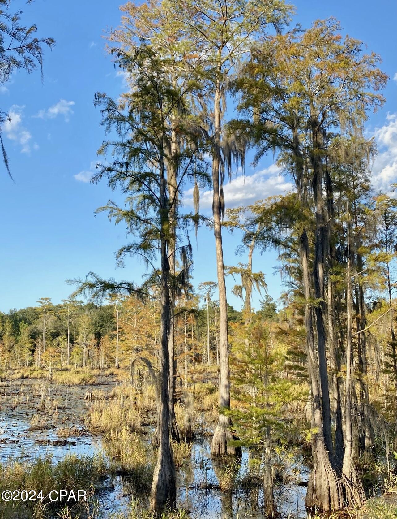 2980 Johnson Road Bonifay, FL 32425 - Photo 4 of 10