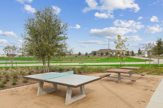 $339,210 | 6706 Alejandro Place, Cove, TX 77523