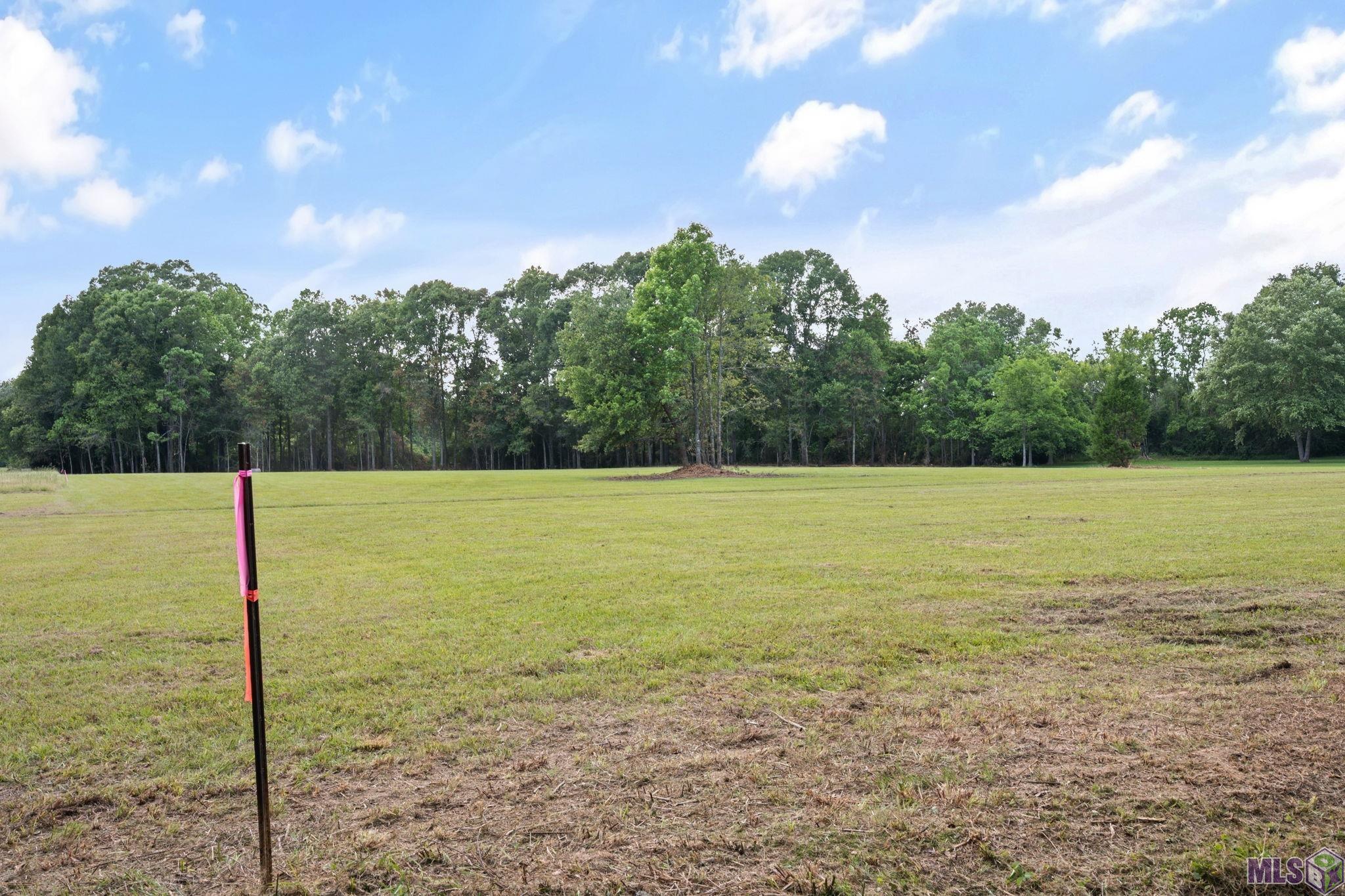 10440 Bank Street Clinton, LA 70722 - Photo 3 of 27