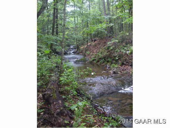 Tbd Mountain Run Road Churchville, VA 24421 - Photo 8 of 12 Gallery Image 8