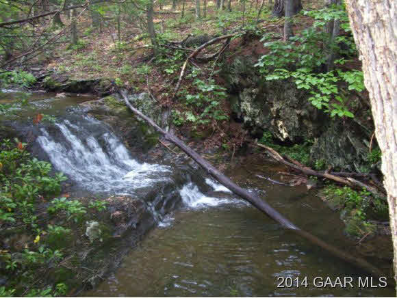 Tbd Mountain Run Road Churchville, VA 24421 - Photo 10 of 12 Gallery Image 10
