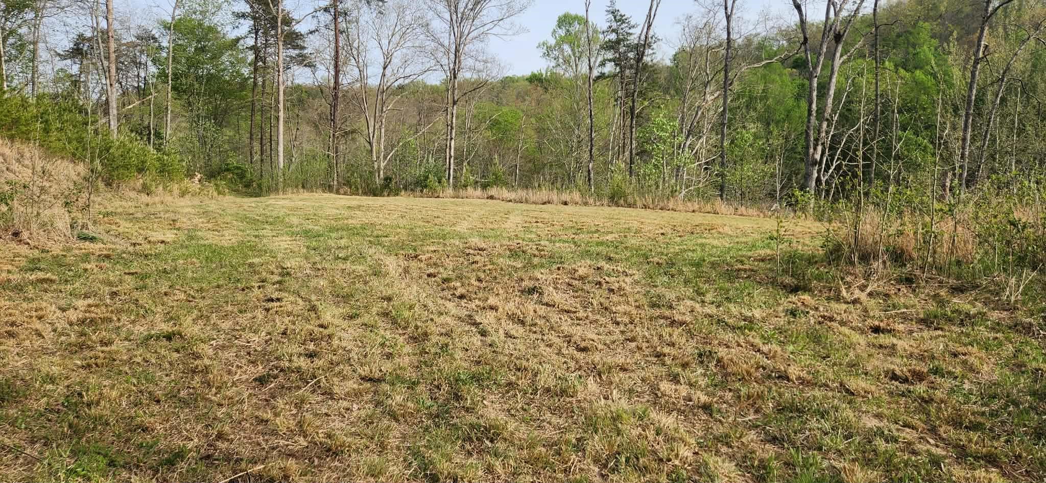 Stinson Creek Road Grayson, KY 41143 - Photo 1 of 14