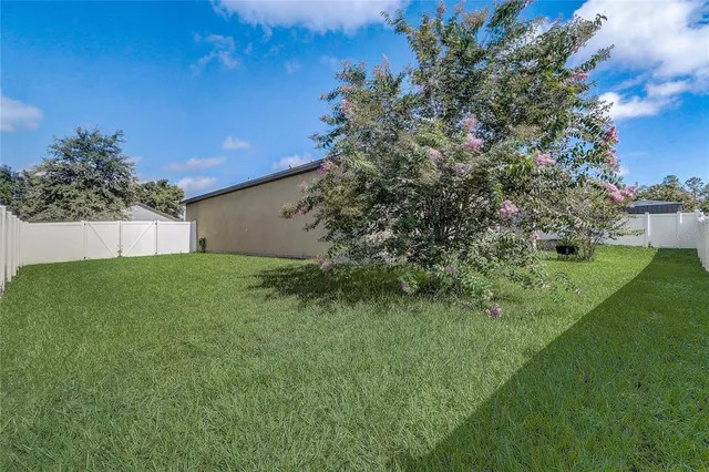 a picture of a rug with a white wall and a picture