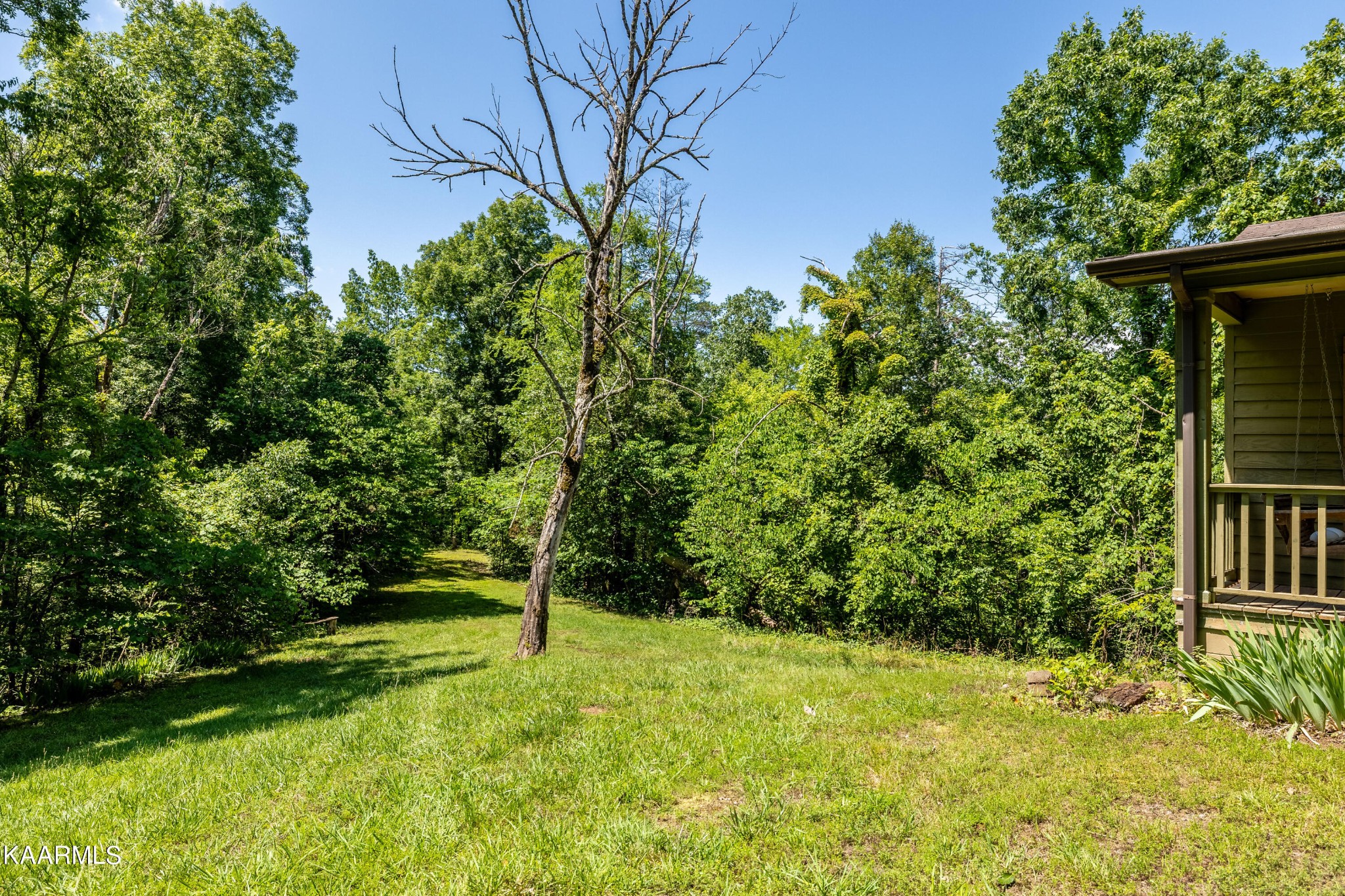 114 Bear Cub Road Vonore, TN 37885 - Photo 7 of 22
