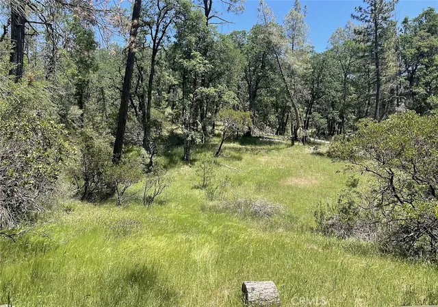 $23,000 | 9660 Harrington Flat Road, Middletown, CA 95461