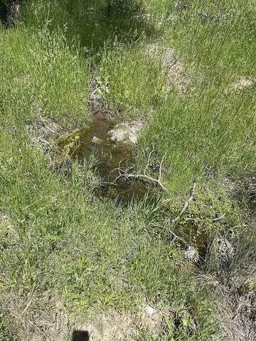 $22,000 | 9660 Harrington Flat Road, Middletown, CA 95461