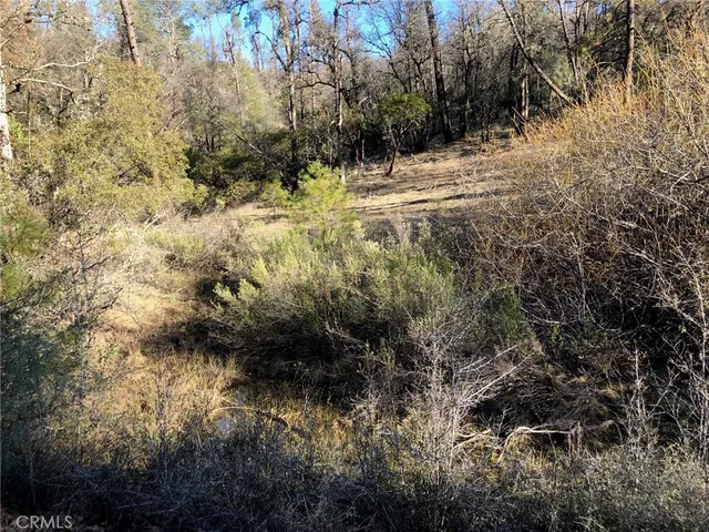 $22,000 | 9660 Harrington Flat Road, Middletown, CA 95461