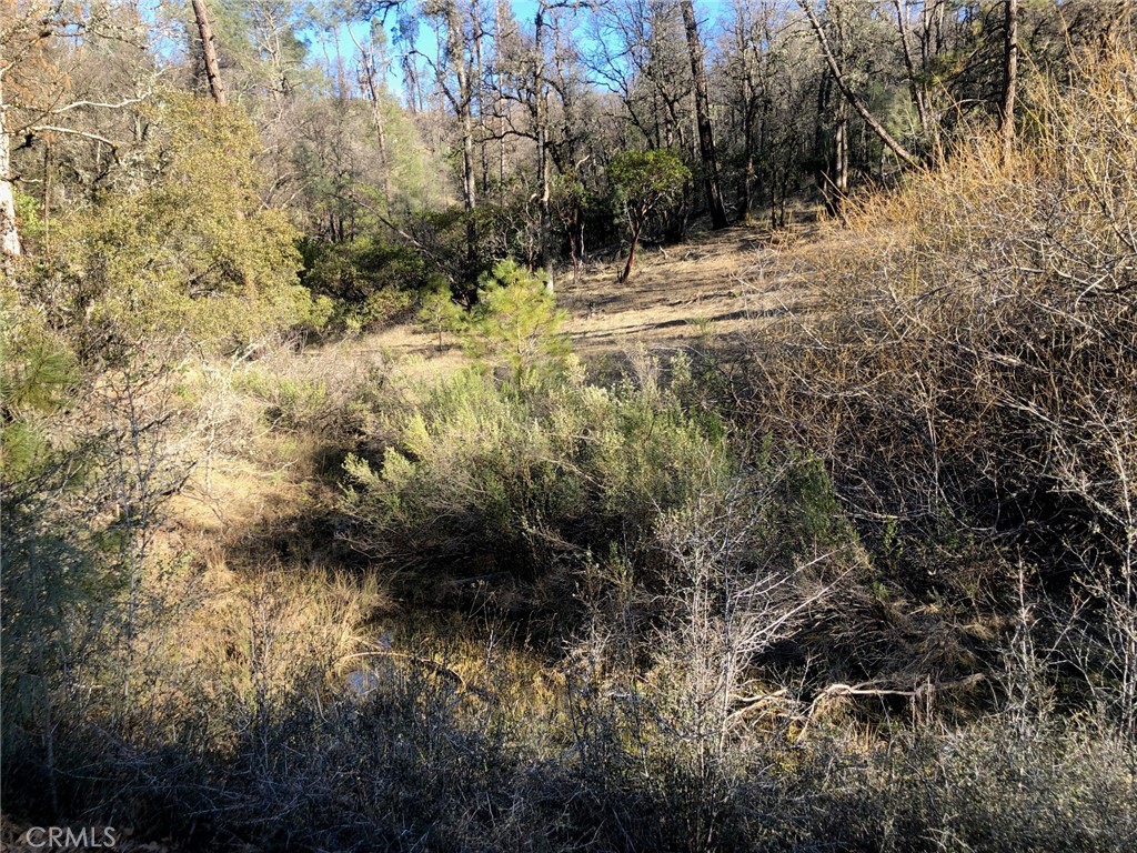 9660 Harrington Flat Road Middletown, CA 95461 - Photo 12 of 19