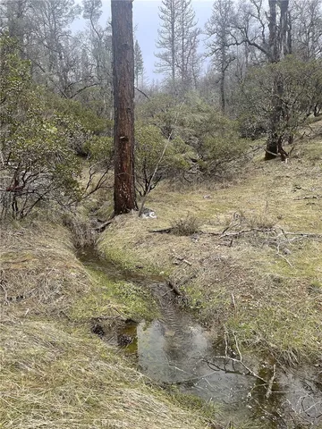 $22,000 | 9660 Harrington Flat Road, Middletown, CA 95461