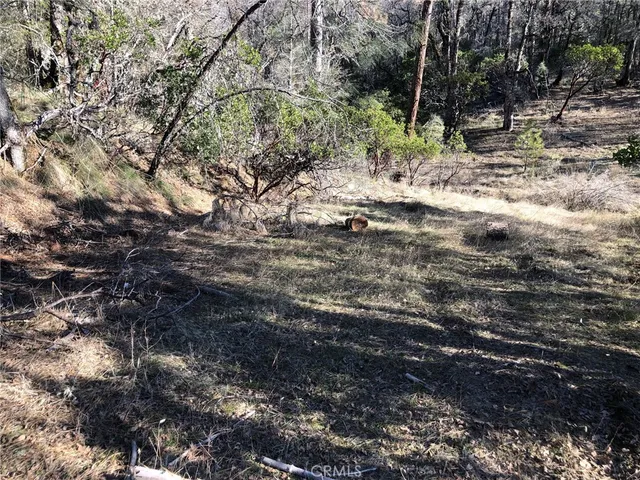 $22,000 | 9660 Harrington Flat Road, Middletown, CA 95461