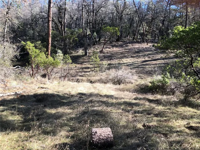 $22,000 | 9660 Harrington Flat Road, Middletown, CA 95461