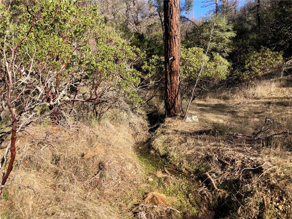 9660 Harrington Flat Road Middletown, CA 95461 - Photo 18 of 19