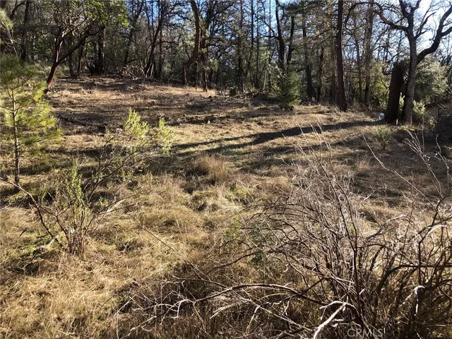 $22,000 | 9660 Harrington Flat Road, Middletown, CA 95461